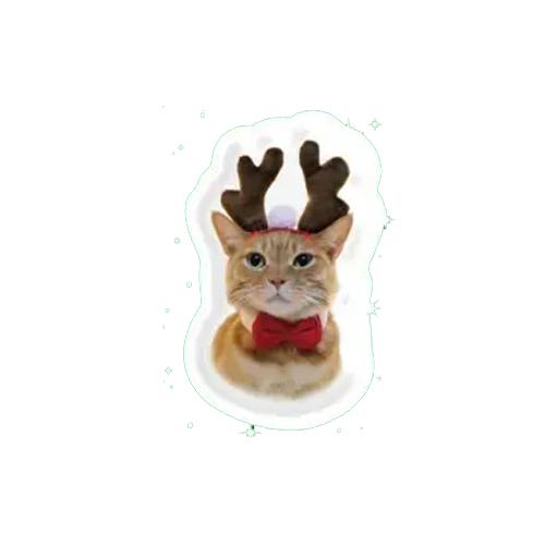 3D стікери "Holiday Mood" Кіт-олень
