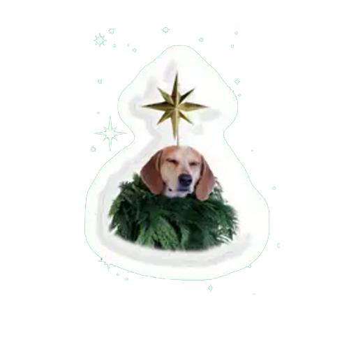 3D стікери "Holiday Mood" Пес
