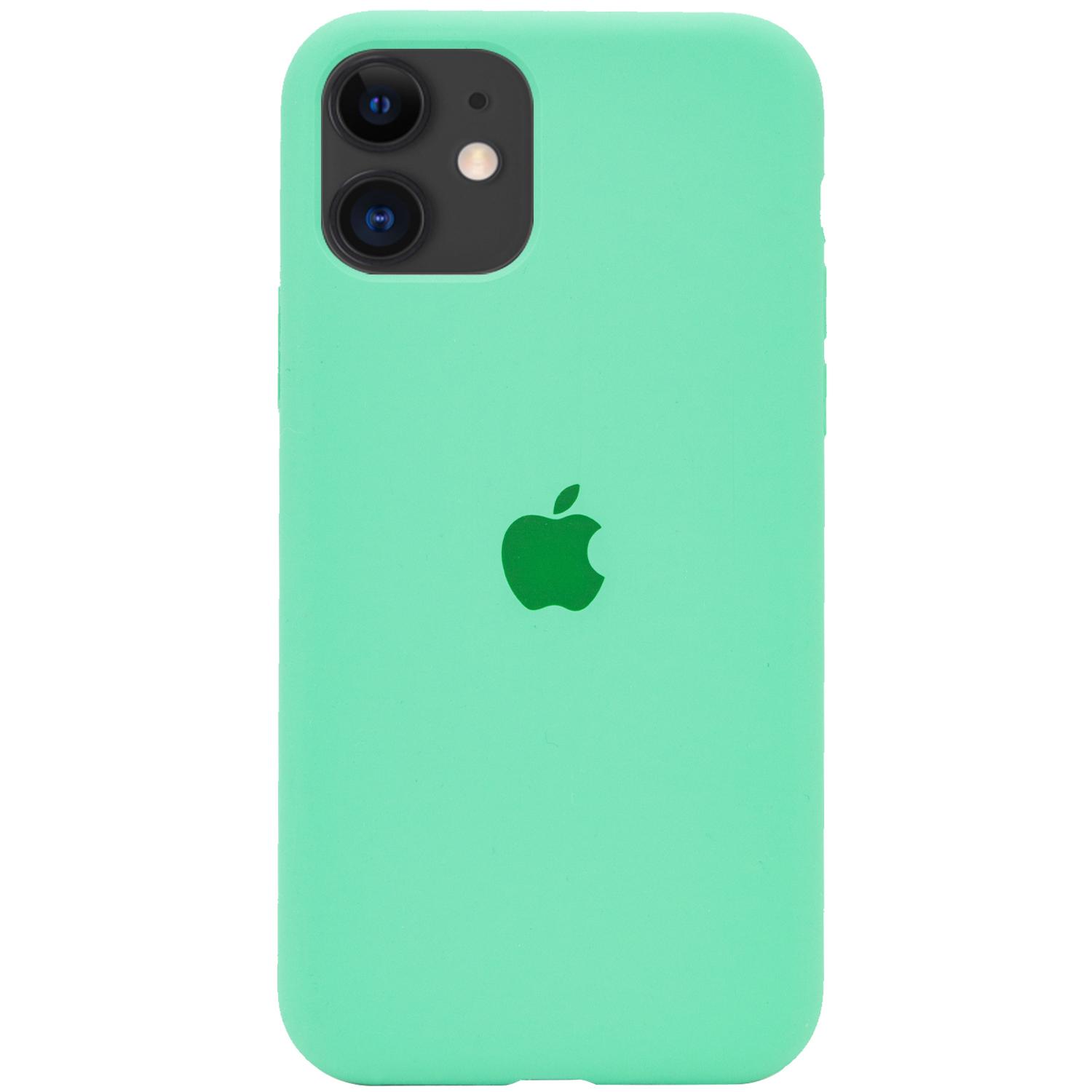 Silicone Case Full Protective (AA) для iPhone 11 (6.1") (Spearmint)