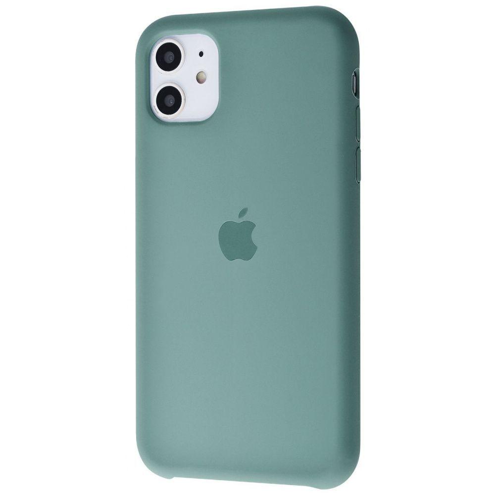 Silicone Case (AA) для iPhone 11 (6.1") (Cactus)