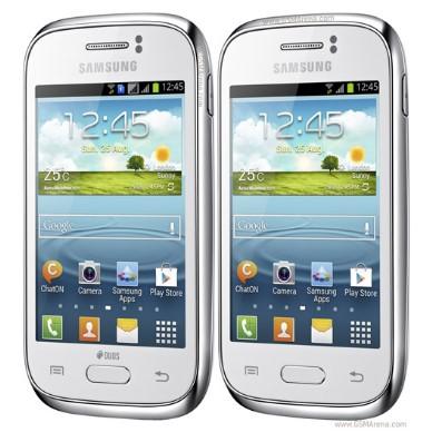 Samsung Galaxy Young S6310