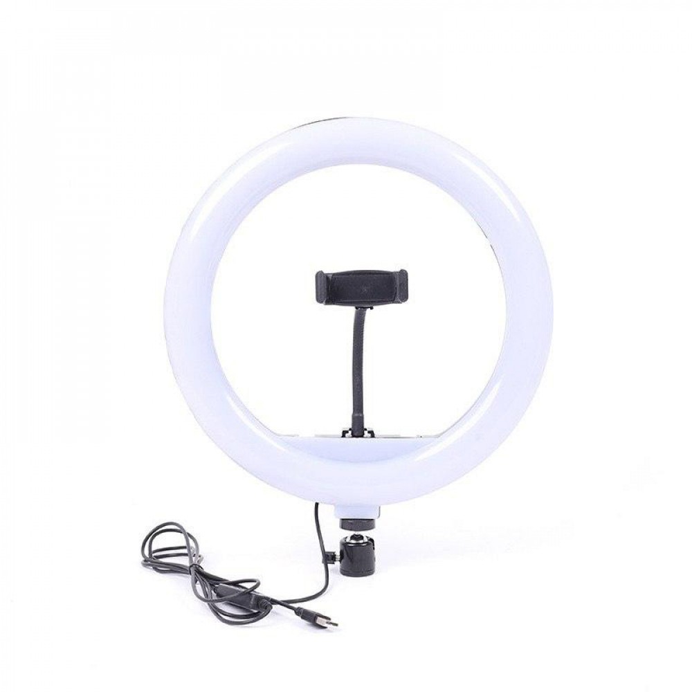 Кільцева Led Лампа Ring Filll Light FC-33 (діаметр 33 см)-0
