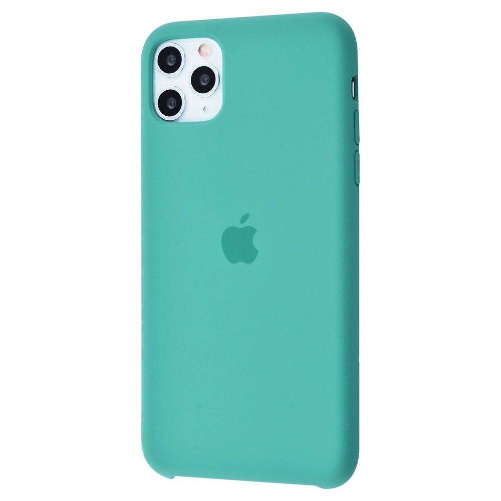 Silicone Case (AA) для iPhone 11 Pro Max (6.5") (Cactus)-0