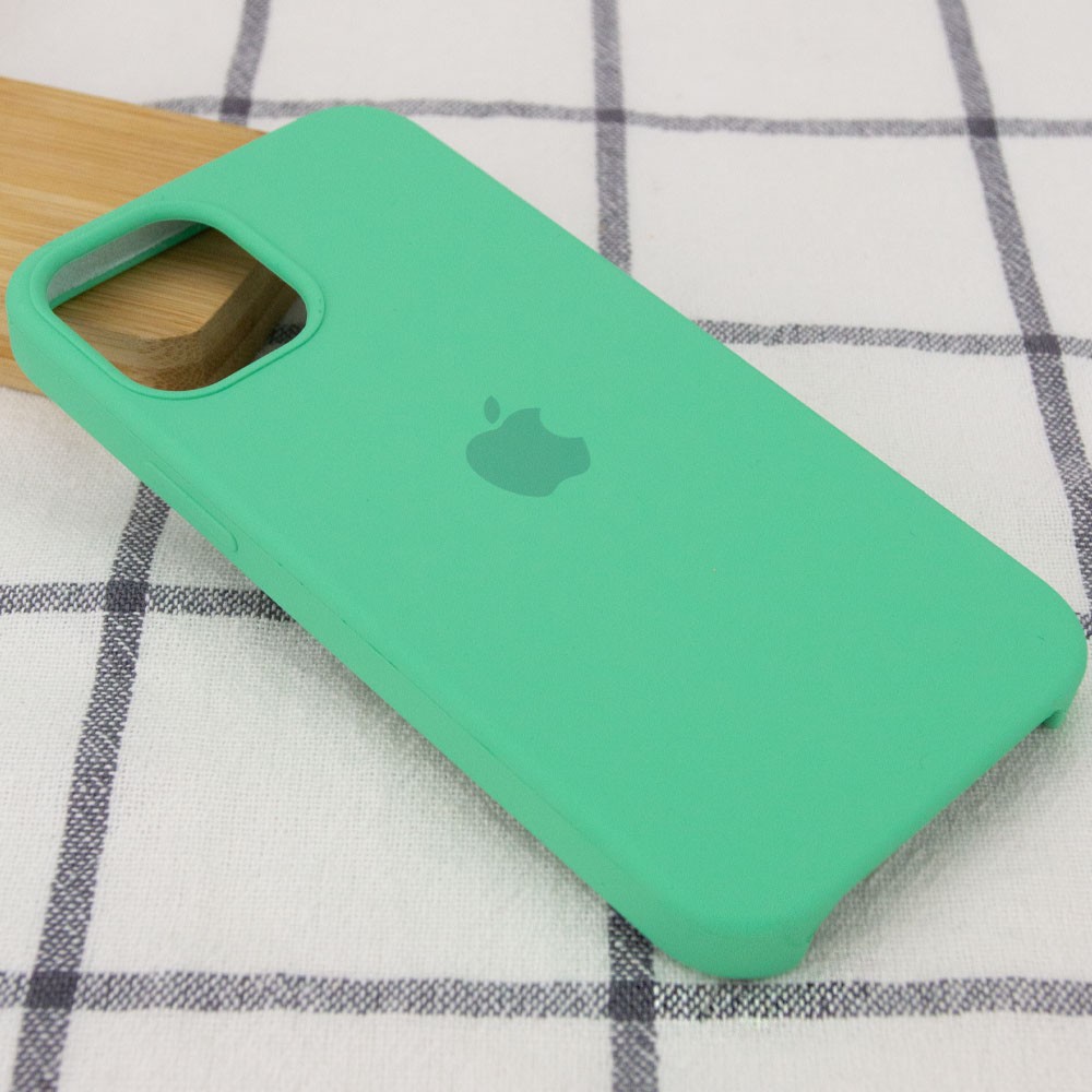 Silicone Case (AA) для iPhone 12 Pro / 12 (6.1") (Spearmint)-1