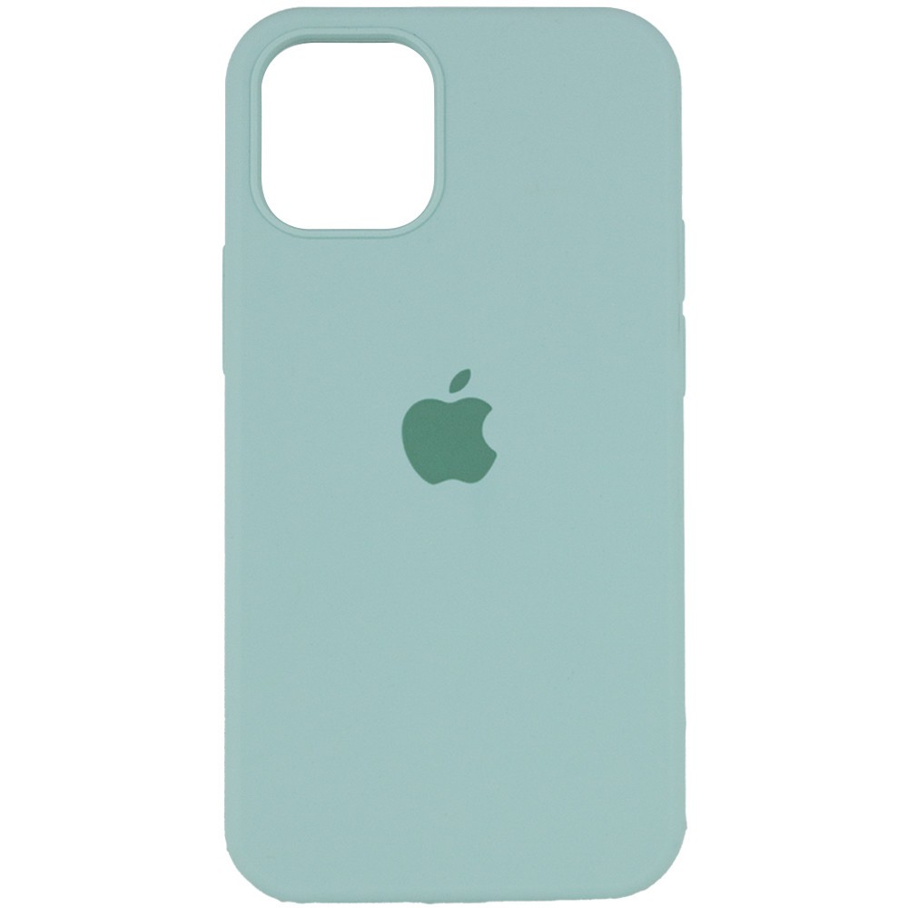 Silicone Case Full Protective (AA) для iPhone 12 Pro Max (6.7") (Beryl)-0