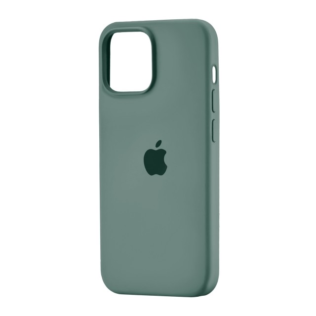 Silicone Case Full Protective (AA) для iPhone 13 mini (Pine green)-0