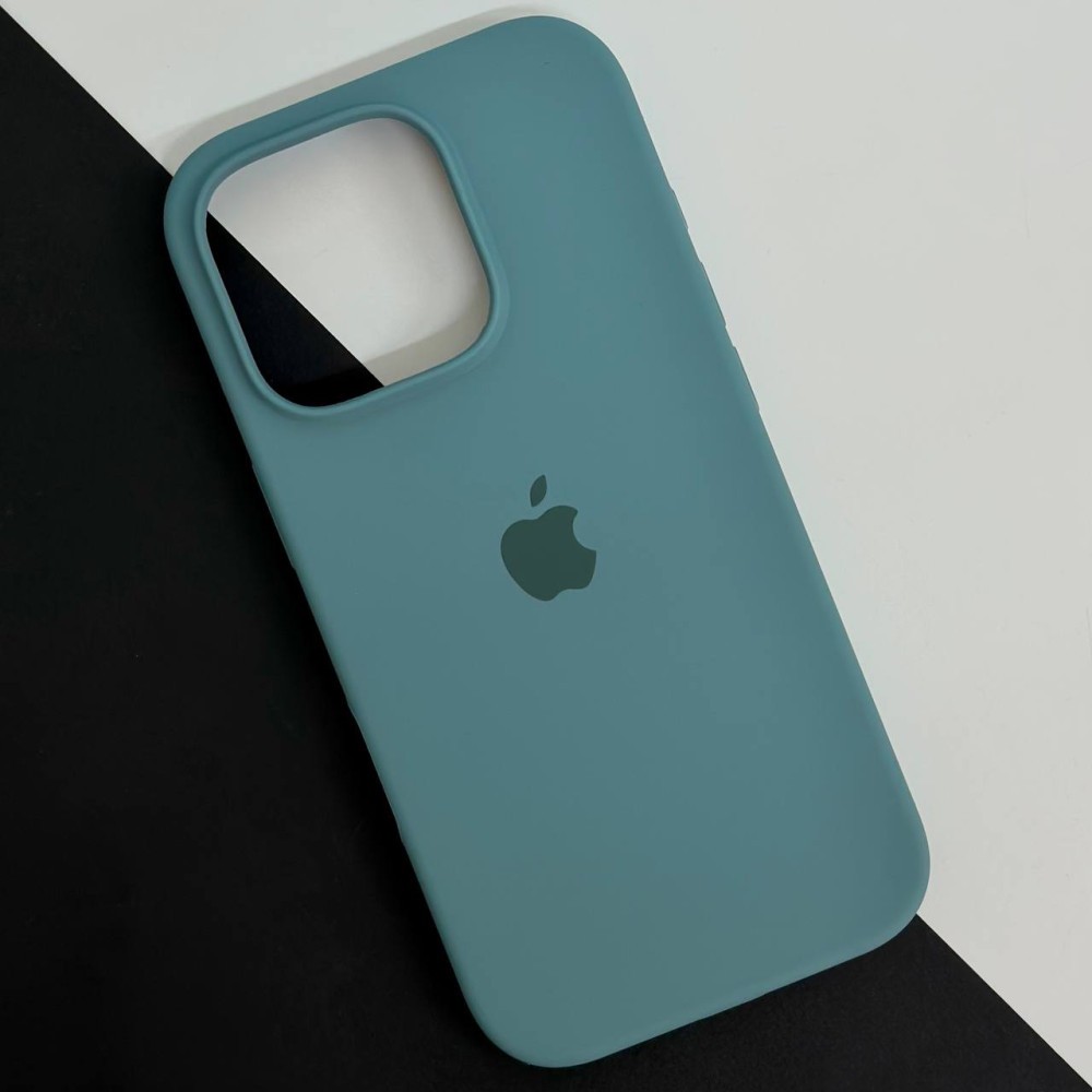 Silicone Case Full Protective (AA) для iPhone 16 Pro (Cactus)-0