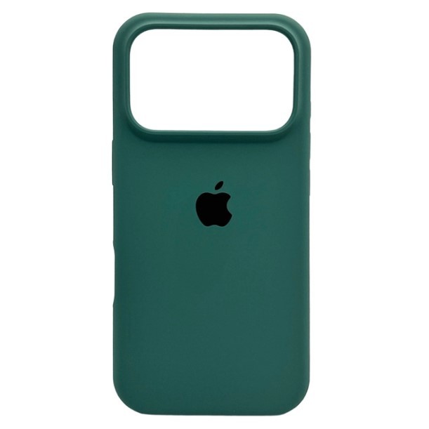 Silicone Case Full Protective (AA) для iPhone 17 Pro Max (Cactus)-0
