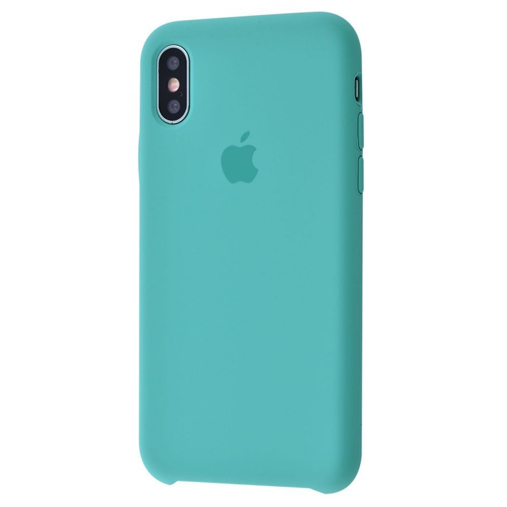 Silicone Case (AA) для iPhone X/Xs (Cactus)-0