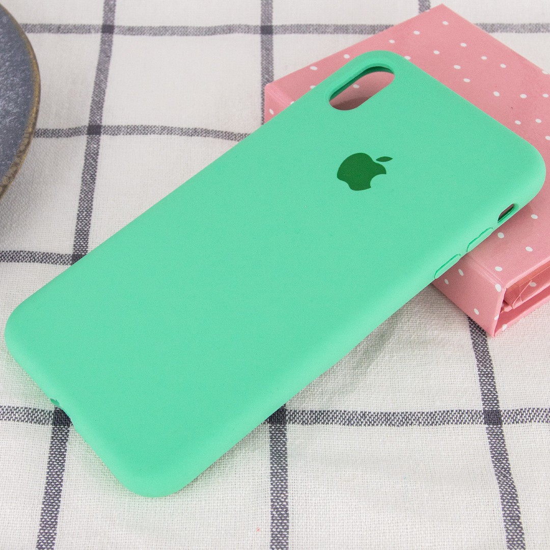 Silicone Case Full Protective (AA) для iPhone X/Xs (5.8") (Spearmint)-1