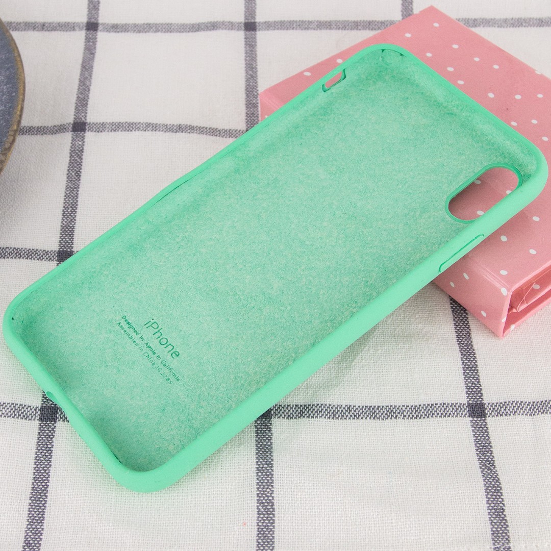 Silicone Case Full Protective (AA) для iPhone X/Xs (5.8") (Spearmint)-2