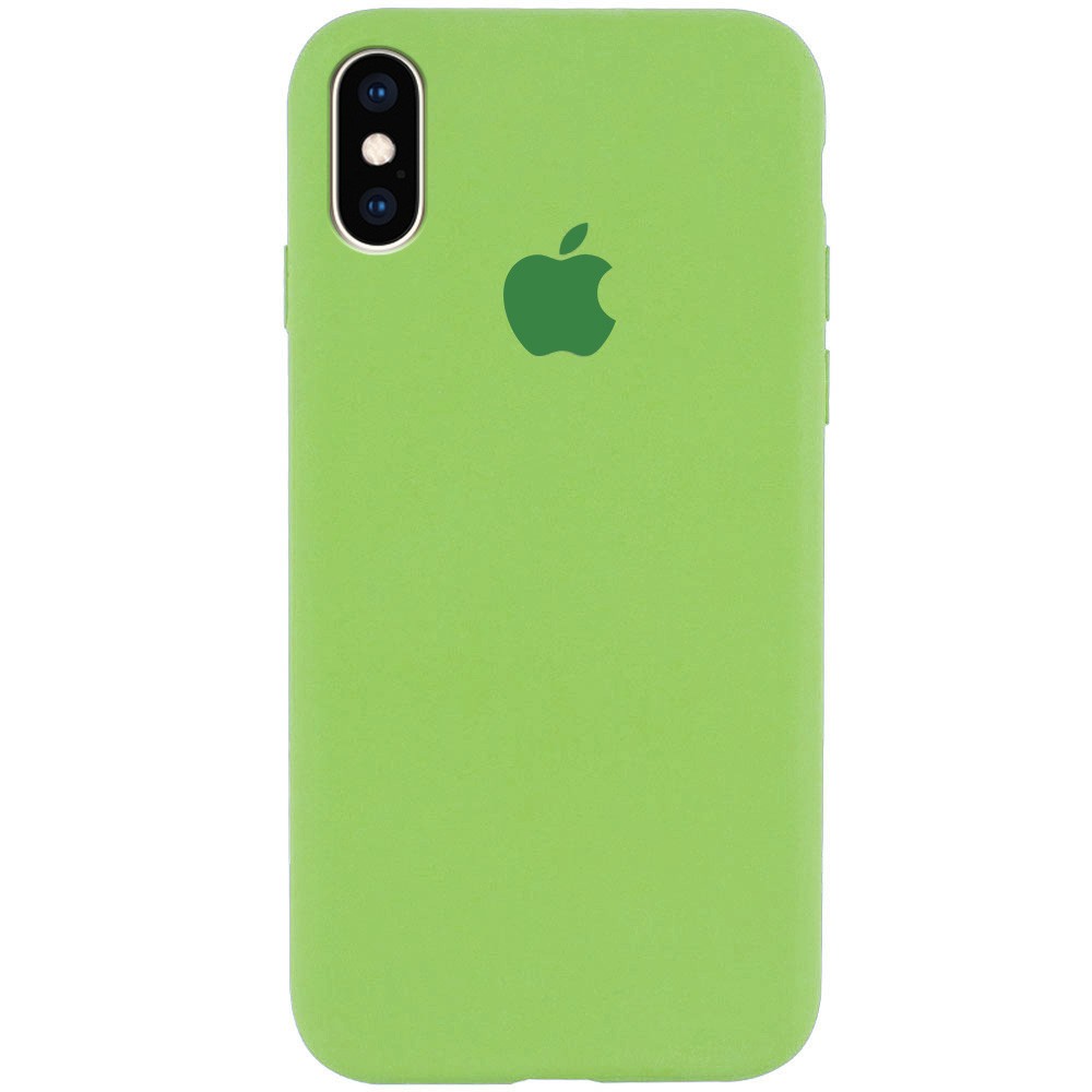 Silicone Case Full Protective (AA) для iPhone X/Xs (5.8") (Mint)-0
