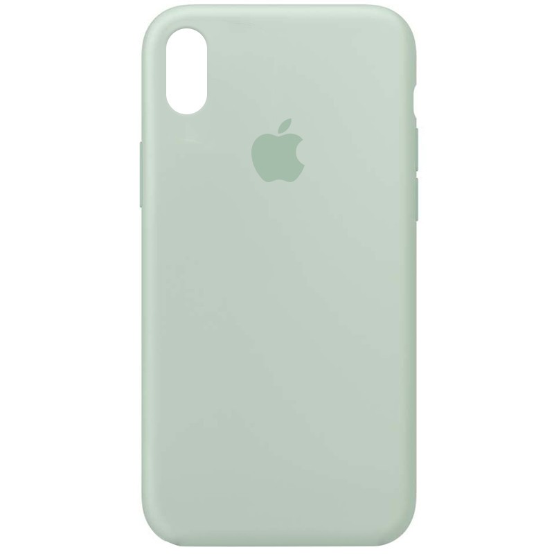 Silicone Case Full Protective (AA) для iPhone X/Xs (5.8") (Beryl)-0
