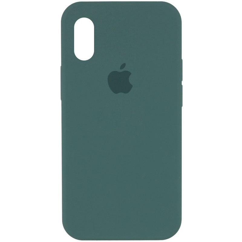 Silicone Case Full Protective (AA) для iPhone X (5.8") /XS (5.8") (Light cactus)-0