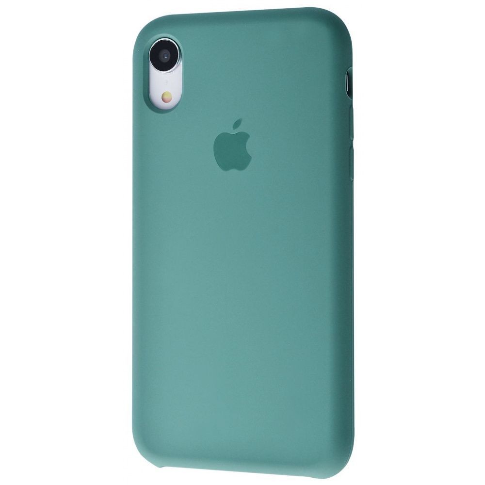 Silicone Case (AA) для iPhone XR (6.1") (Cactus)-0