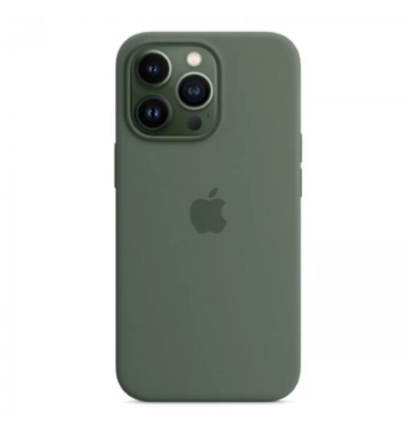 Silicone Case Full Protective (AA) для iPhone 15 Pro (Virid)-0